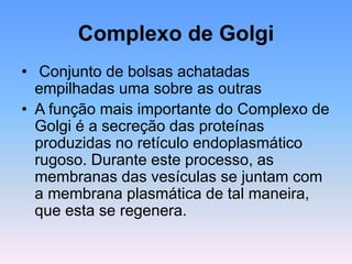 Complexo de Golgi
• Conjunto de bolsas achatadas
empilhadas uma sobre as outras
• A função mais importante do Complexo de
Golgi é a secreção das proteínas
produzidas no retículo endoplasmático
rugoso. Durante este processo, as
membranas das vesículas se juntam com
a membrana plasmática de tal maneira,
que esta se regenera.
 