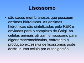 Lisossomo
• são sacos membranosos que possuem
enzimas hidrolíticas. As enzimas
hidrolíticas são sintetizadas pelo RER e
enviadas para o complexo de Golgi. As
células animais utilizam o lisossomo para
digerir macromoléculas, entretanto a
produção excessiva de lisossomos pode
destruir uma célula por autodigestão.
 