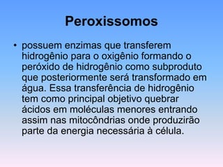 Peroxissomos
• possuem enzimas que transferem
hidrogênio para o oxigênio formando o
peróxido de hidrogênio como subproduto
que posteriormente será transformado em
água. Essa transferência de hidrogênio
tem como principal objetivo quebrar
ácidos em moléculas menores entrando
assim nas mitocôndrias onde produzirão
parte da energia necessária à célula.
 