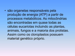 • são organelas responsáveis pela
produção de energia (ATP) a partir de
processos metabólicos. As mitocôndrias
são encontradas em quase todas as
células eucariotas incluindo as plantas,
animais, fungos e a maioria dos protistas.
Assim como os cloroplastos possuem
material genético próprio.
 