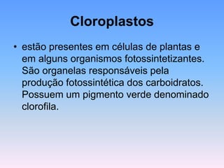 Cloroplastos
• estão presentes em células de plantas e
em alguns organismos fotossintetizantes.
São organelas responsáveis pela
produção fotossintética dos carboidratos.
Possuem um pigmento verde denominado
clorofila.
 