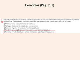 Exercícios (Pág. 281)
 