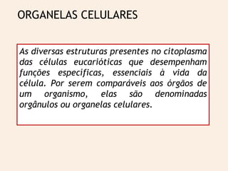 ORGANELAS CELULARES
As diversas estruturas presentes no citoplasma
das células eucarióticas que desempenham
funções específicas, essenciais à vida da
célula. Por serem comparáveis aos órgãos de
um organismo, elas são denominadas
orgânulos ou organelas celulares.
 