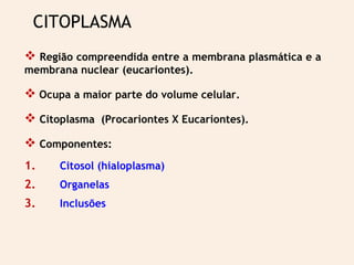 Citoplasma | PPT