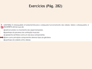 Exercícios (Pág. 282)
 