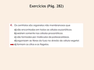 Exercícios (Pág. 282)
 