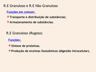 R.E Granuloso e R.E Não Granuloso
Funções em comum:
Transporte e distribuição de substâncias;
Armazenamento de substâncias.
Funções:
Síntese de proteínas.
Produção de enzimas lisossômicas (digestão intracelular).
R.E Granuloso (Rugoso)
 