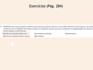 Exercícios (Pág. 284)
 