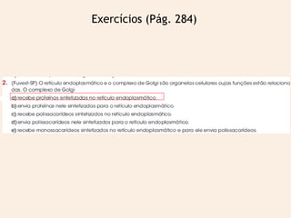 Exercícios (Pág. 284)
 
