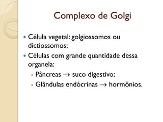 Complexo de Golgi
 Célula vegetal: golgiossomos ou
dictiossomos;
 Células com grande quantidade dessa
organela:
- Pâncreas  suco digestivo;
- Glândulas endócrinas  hormônios.
 