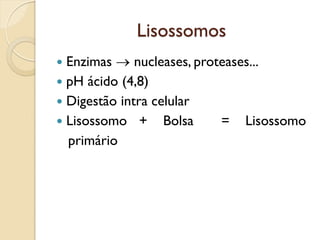 Lisossomos
 Enzimas  nucleases, proteases...
 pH ácido (4,8)
 Digestão intra celular
 Lisossomo + Bolsa = Lisossomo
primário
 