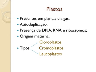 Plastos
 Presentes em plantas e algas;
 Autoduplicação;
 Presença de DNA, RNA e ribossomos;
 Origem materna;
Cloroplastos
 Tipos Cromoplastos
Leucoplastos
 