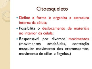 Citoesqueleto
 Define a forma e organiza a estrutura
interna da célula;
 Possibilita o deslocamento de materiais
no interior da célula;
 Responsável por diversos movimentos
(movimentos amebóides, contração
muscular, movimento dos cromossomos,
movimento de cílios e flagelos.)
 