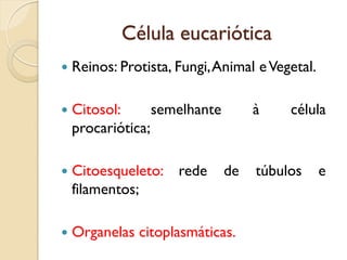 Célula eucariótica
 Reinos: Protista, Fungi,Animal eVegetal.
 Citosol: semelhante à célula
procariótica;
 Citoesqueleto: rede de túbulos e
filamentos;
 Organelas citoplasmáticas.
 