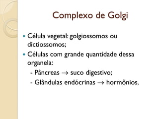 Complexo de Golgi
 Célula vegetal: golgiossomos ou
dictiossomos;
 Células com grande quantidade dessa
organela:
- Pâncre...