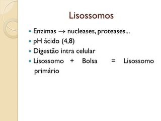 Lisossomos
 Enzimas  nucleases, proteases...
 pH ácido (4,8)
 Digestão intra celular
 Lisossomo + Bolsa = Lisossomo
p...