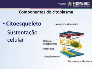 Citoplasma.ppt