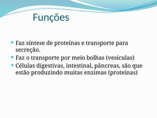 Funções
 Faz síntese de proteínas e transporte para
secreção.
 Faz o transporte por meio bolhas (vesículas)
 Células digestivas, intestinal, pâncreas, são que
estão produzindo muitas enzimas (proteínas)
 
