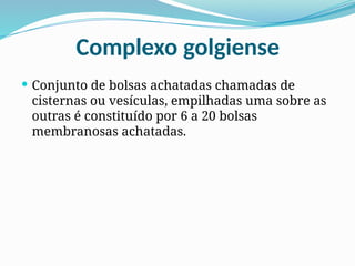 Complexo golgiense
 Conjunto de bolsas achatadas chamadas de
cisternas ou vesículas, empilhadas uma sobre as
outras é constituído por 6 a 20 bolsas
membranosas achatadas.
 