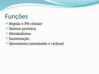 Funções
 Regula o PH celular
 Síntese proteica
 Metabolismo
 Sustentação
 Movimento (ameboide e ciclose)
 