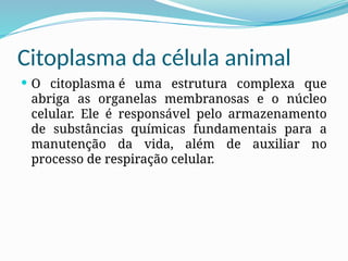 Citoplasma da célula animal
 O citoplasma é uma estrutura complexa que
abriga as organelas membranosas e o núcleo
celular. Ele é responsável pelo armazenamento
de substâncias químicas fundamentais para a
manutenção da vida, além de auxiliar no
processo de respiração celular.
 