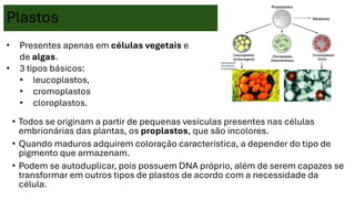 Plastos
• Todos se originam a partir de pequenas vesículas presentes nas células
embrionárias das plantas, os proplastos, que são incolores.
• Quando maduros adquirem coloração característica, a depender do tipo de
pigmento que armazenam.
• Podem se autoduplicar, pois possuem DNA próprio, além de serem capazes se
transformar em outros tipos de plastos de acordo com a necessidade da
célula.
• Presentes apenas em células vegetais e
de algas.
• 3 tipos básicos:
• leucoplastos,
• cromoplastos
• cloroplastos.
 