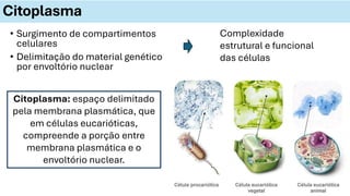 Citoplasma
• Surgimento de compartimentos
celulares
• Delimitação do material genético
por envoltório nuclear
Complexidade
estrutural e funcional
das células
Citoplasma: espaço delimitado
pela membrana plasmática, que
em células eucarióticas,
compreende a porção entre
membrana plasmática e o
envoltório nuclear.
 