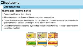 Filamentos intermediários
• Possuem diâmetro (8 a 10 nm)
• São compostos de diversos fios de proteínas – queratina.
• Estão distribuídos por todo interior do citoplasma, criando uma estrutura resistente
que mantém as células unidas por meio de desmossomos.
• Esses filamentos conferem a alguns tecidos alta resistência à tensão e estruturam o
envoltório nuclear.
Citoplasma
Citoesqueleto
 