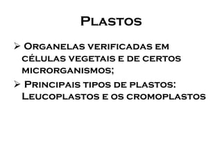 Plastos 
Organelas verificadas em células vegetais e de certos microrganismos; 
Principais tipos de plastos: Leucoplastos e os cromoplastos  