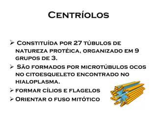Centríolos 
Constituída por 27 túbulos de natureza protéica, organizado em 9 grupos de 3. 
São formados por microtúbulos ocos no citoesqueleto encontrado no hialoplasma. 
formar cílios e flagelos 
Orientar o fuso mitótico  