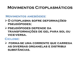 Movimentos Citoplasmáticos 
Movimentos amebóides: 
O citoplasma sofre deformações- pseudópodes; 
pseudópodesdepende da transformações de gel para sol ou vice-versa. 
Ciclose: 
forma-se uma corrente que carrega as diversas organelas e distribui substâncias.  