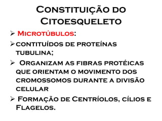 Constituição do Citoesqueleto 
Microtúbulos: 
contituídos de proteínas tubulina; 
Organizam as fibras protéicas que orientam o movimento dos cromossomos durante a divisão celular 
Formação de Centríolos, cílios e Flagelos.  
