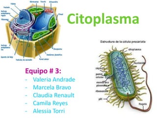 Citoplasma


Equipo # 3:
-   Valeria Andrade
-   Marcela Bravo
-   Claudia Renault
-   Camila Reyes
-   Alessia Torri
 