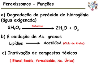 a) Degradação do peróxido de hidrogênio
(água oxigenada)
2H2O2
Catalase
2H2O + O2
b) ß oxidação de Ac. graxos
Lipídios AcetilCoA (Ciclo de Krebs)
c) Inativação de compostos tóxicos
( Etanol,fenóis, formaldeído, Ac. Úrico)
Peroxissomos - Funções
 