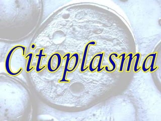 BIOLOGÍA Citoplasma  USP