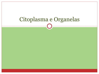 Citoplasma e Organelas 