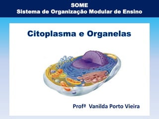 SOME
Sistema de Organização Modular de Ensino

Profª Vanilda Porto Vieira

 