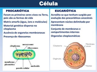 Célula
PROCARIÓTICAPROCARIÓTICA
Foram os primeiros seres vivos na Terra,
pois são as formas de vida
Matriz amorfa (água, íons e moléculas)
Material genético disperso no
citoplasma
Ausência de organelas membranosas
Presença de ribossomos

EUCARIÓTICAUCARIÓTICA
Acredita-se que tenham surgido por
evolução das procarióticas ancestrais
Apresentam núcleo delimitado por
membrana
Conjunto de membranas e
compartimentos internos
Organelas citoplasmáticas

 