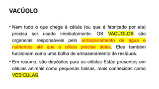 VACÚOLO
• Nem tudo o que chega à célula (ou que é fabricado por ela)
precisa ser usado imediatamente. OS VACÚOLOS são
organelas responsáveis pelo armazenamento de água e
nutrientes até que a célula precise deles. Eles também
funcionam como uma bolha de armazenamento de resíduos.
• Em resumo, são depósitos para as células Estão presentes em
células animais como pequenas bolsas, mais conhecidas como
VESÍCULAS.
 