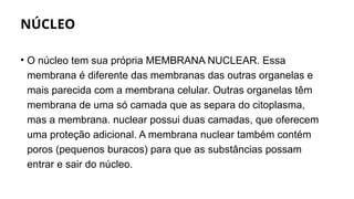 NÚCLEO
• O núcleo tem sua própria MEMBRANA NUCLEAR. Essa
membrana é diferente das membranas das outras organelas e
mais parecida com a membrana celular. Outras organelas têm
membrana de uma só camada que as separa do citoplasma,
mas a membrana. nuclear possui duas camadas, que oferecem
uma proteção adicional. A membrana nuclear também contém
poros (pequenos buracos) para que as substâncias possam
entrar e sair do núcleo.
 