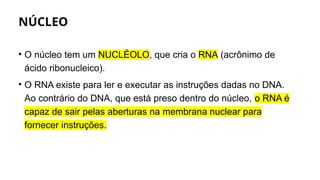 NÚCLEO
• O núcleo tem um NUCLÉOLO, que cria o RNA (acrônimo de
ácido ribonucleico).
• O RNA existe para ler e executar as instruções dadas no DNA.
Ao contrário do DNA, que está preso dentro do núcleo, o RNA é
capaz de sair pelas aberturas na membrana nuclear para
fornecer instruções.
 