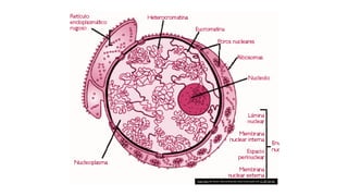 Esta Foto de Autor Desconhecido está licenciado em CC BY-SA-NC
 