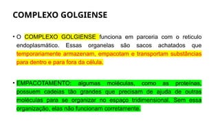 COMPLEXO GOLGIENSE
• O COMPLEXO GOLGIENSE funciona em parceria com o reticulo
endoplasmático. Essas organelas são sacos achatados que
temporariamente armazenam, empacotam e transportam substâncias
para dentro e para fora da célula.
• EMPACOTAMENTO: algumas moléculas, como as proteínas,
possuem cadeias tão grandes que precisam de ajuda de outras
moléculas para se organizar no espaço tridimensional. Sem essa
organização, elas não funcionam corretamente.
 