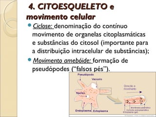4. CITOESQUELETO e
movimento celular
Ciclose: denominação do contínuo
 movimento de organelas citoplasmáticas
 e substâncias do citosol (importante para
 a distribuição intracelular de substâncias);
Movimento amebóide: formação de
 pseudópodes (“falsos pés”).
 