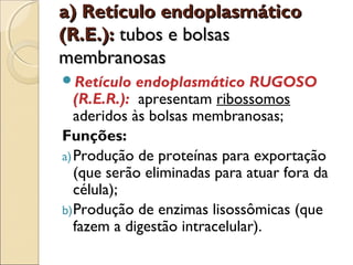 a) Retículo endoplasmático
(R.E.): tubos e bolsas
membranosas
Retículo    endoplasmático RUGOSO
   (R.E.R.): apresentam ribossomos
   aderidos às bolsas membranosas;
Funções:
a) Produção de proteínas para exportação
   (que serão eliminadas para atuar fora da
   célula);
b) Produção de enzimas lisossômicas (que
   fazem a digestão intracelular).
 