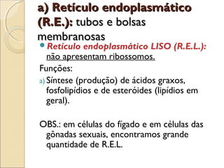 a) Retículo endoplasmático
(R.E.): tubos e bolsas
membranosas
Retículo     endoplasmático LISO (R.E.L.):
   não apresentam ribossomos.
Funções:
a) Síntese (produção) de ácidos graxos,
   fosfolipídios e de esteróides (lipídios em
   geral).

OBS.: em células do fígado e em células das
 gônadas sexuais, encontramos grande
 quantidade de R.E.L.
 