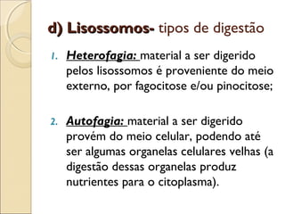 d) Lisossomos- tipos de digestão
1.   Heterofagia: material a ser digerido
     pelos lisossomos é proveniente do meio
     externo, por fagocitose e/ou pinocitose;

2.   Autofagia: material a ser digerido
     provém do meio celular, podendo até
     ser algumas organelas celulares velhas (a
     digestão dessas organelas produz
     nutrientes para o citoplasma).
 