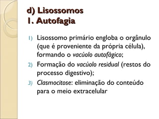 d) Lisossomos
1. Autofagia
1) Lisossomo primário engloba o orgânulo
   (que é proveniente da própria célula),
   formando o vacúolo autofágico;
2) Formação do vacúolo residual (restos do
   processo digestivo);
3) Clasmocitose: eliminação do conteúdo
   para o meio extracelular
 
