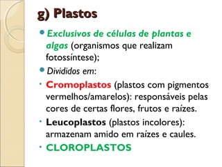 g) Plastos
Exclusivos   de células de plantas e
  algas (organismos que realizam
  fotossíntese);
Divididos em:
• Cromoplastos (plastos com pigmentos
  vermelhos/amarelos): responsáveis pelas
  cores de certas flores, frutos e raízes.
• Leucoplastos (plastos incolores):
  armazenam amido em raízes e caules.
• CLOROPLASTOS
 