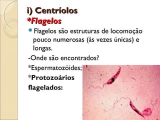 i) Centríolos
*Flagelos
Flagelos são estruturas de locomoção
  pouco numerosas (às vezes únicas) e
  longas.
-Onde são encontrados?
*Espermatozóides;
*Protozoários
flagelados:
 